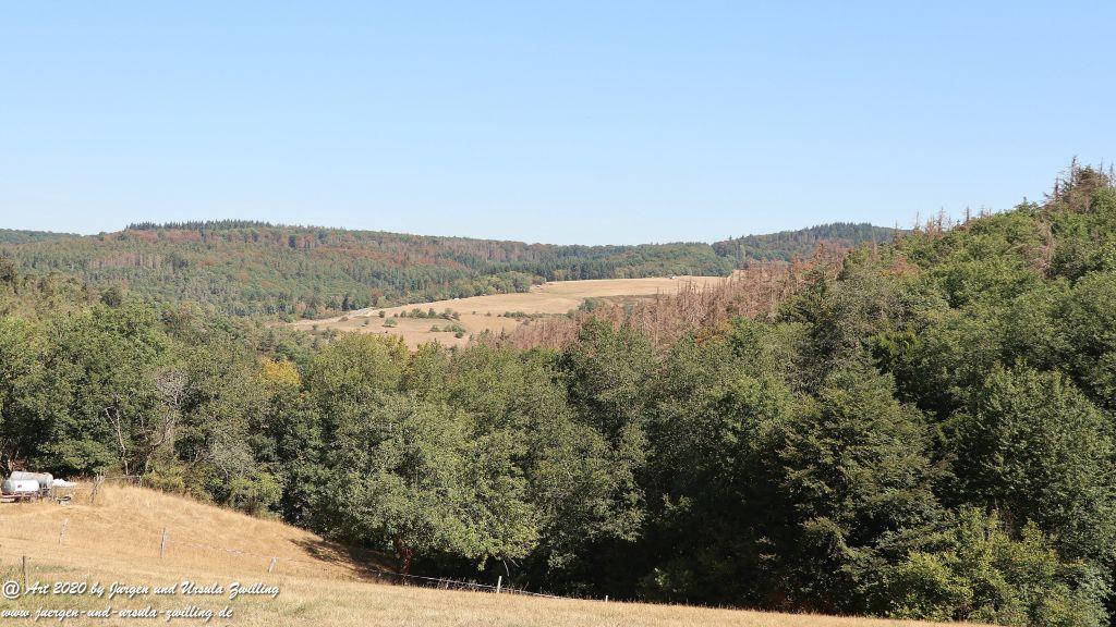 Philosophische Bildwanderung  Der Überhöhische Wisper Trail - Taunus