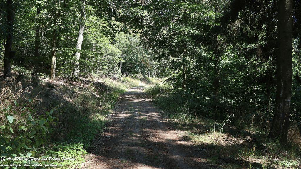 Philosophische Bildwanderung  Der Überhöhische Wisper Trail - Taunus