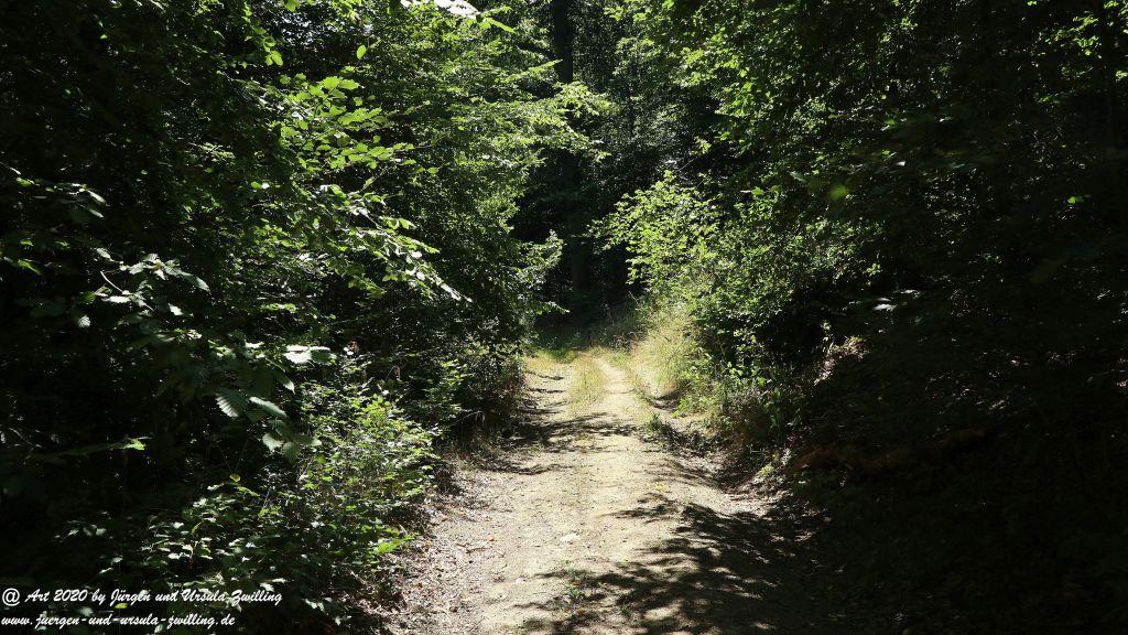 Philosophische Bildwanderung  Der Überhöhische Wisper Trail - Taunus