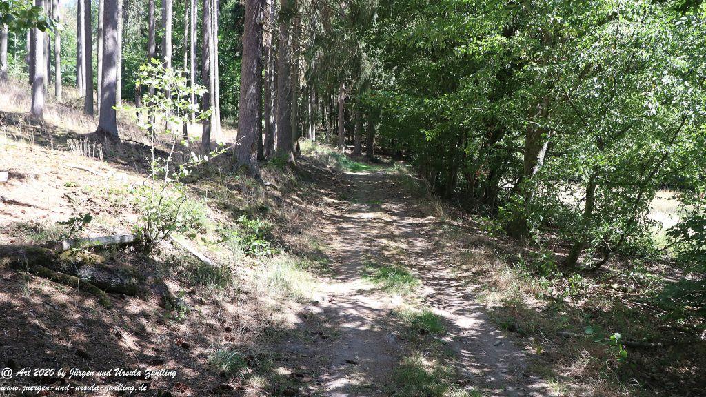 Philosophische Bildwanderung  Der Überhöhische Wisper Trail - Taunus