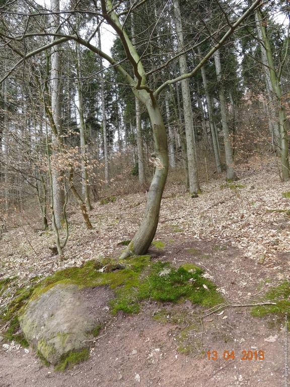 Wandertour Felsenland Sagenweg Etappe 3