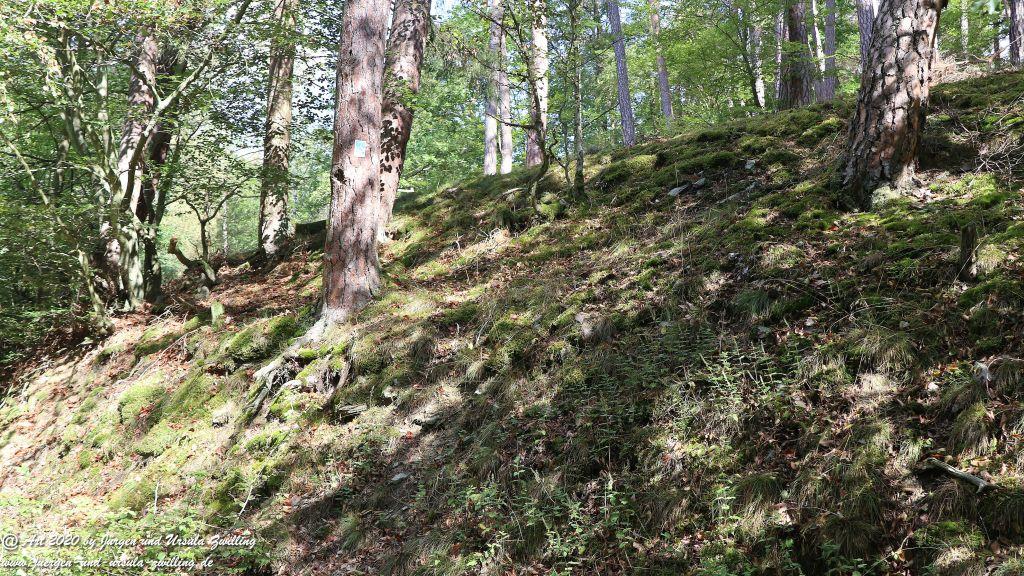 Philosophische Bildwanderung Glaabacher Almauftrieb Wisper Trail - Taunus