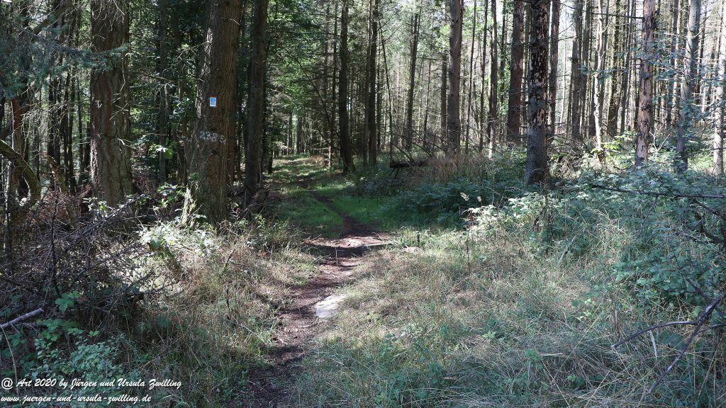 Philosophische Bildwanderung Glaabacher Almauftrieb Wisper Trail - Taunus