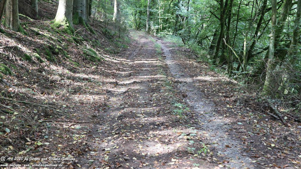 Philosophische Bildwanderung Glaabacher Almauftrieb Wisper Trail - Taunus