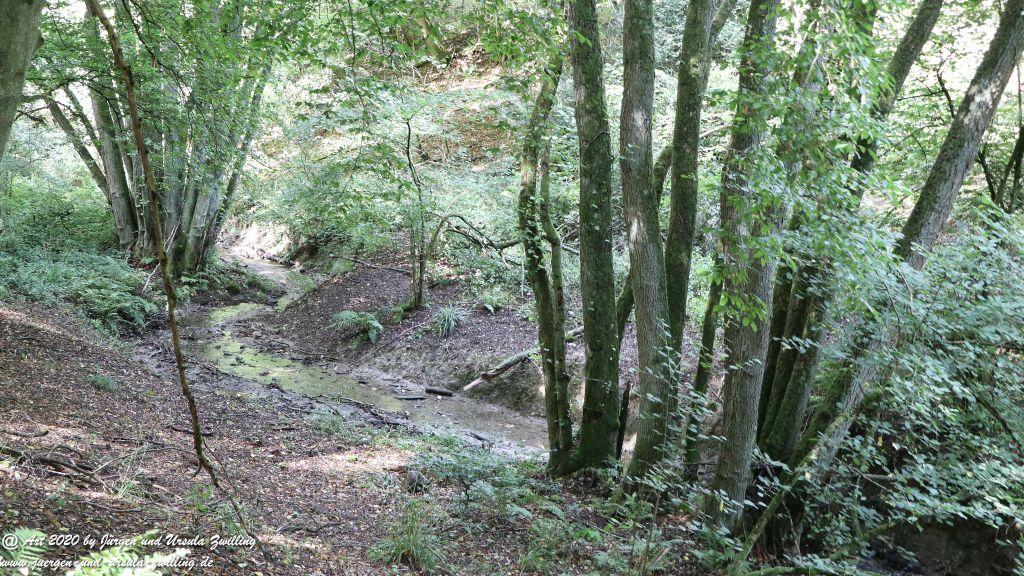 Philosophische Bildwanderung Glaabacher Almauftrieb Wisper Trail - Taunus