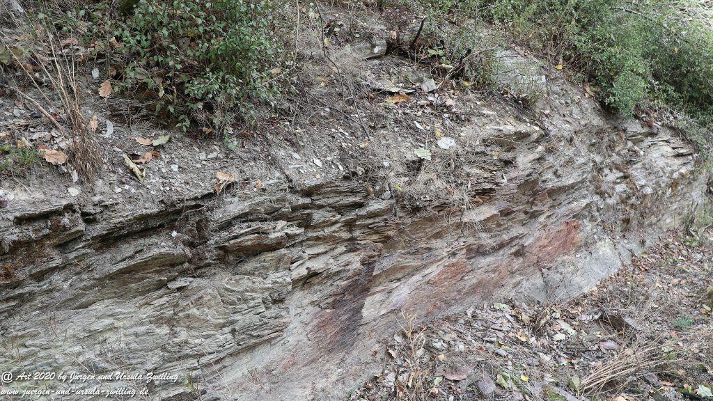 Philosophische Bildwanderung Glaabacher Almauftrieb Wisper Trail - Taunus