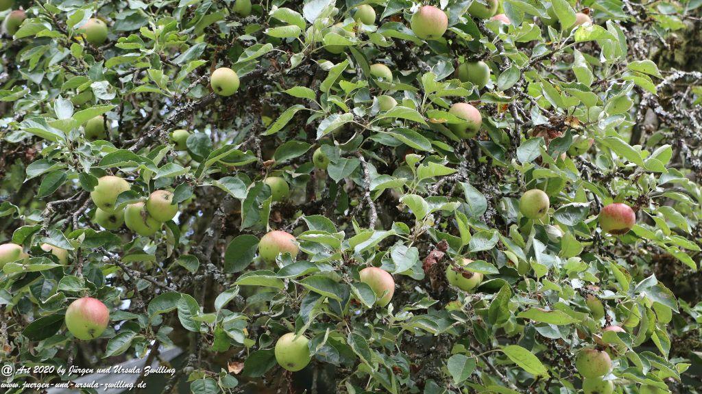 Philosophische Bildwanderung  Ranseler Höhenrausch Wisper Trail - Taunus