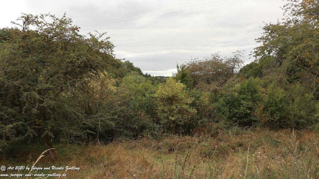 Philosophische Bildwanderung  Ranseler Höhenrausch Wisper Trail - Taunus