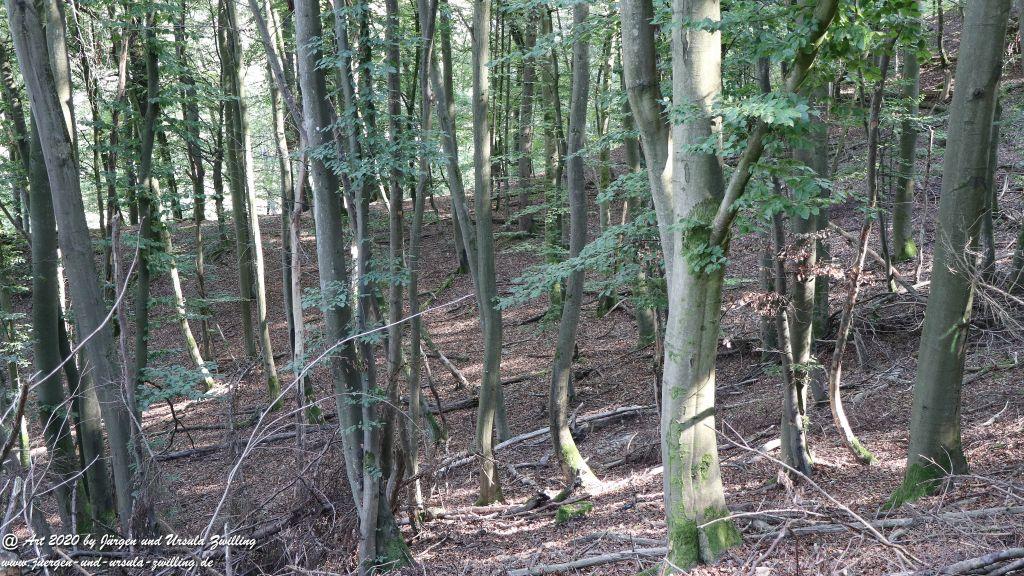 Philosophische Bildwanderung  Ranseler Höhenrausch Wisper Trail - Taunus