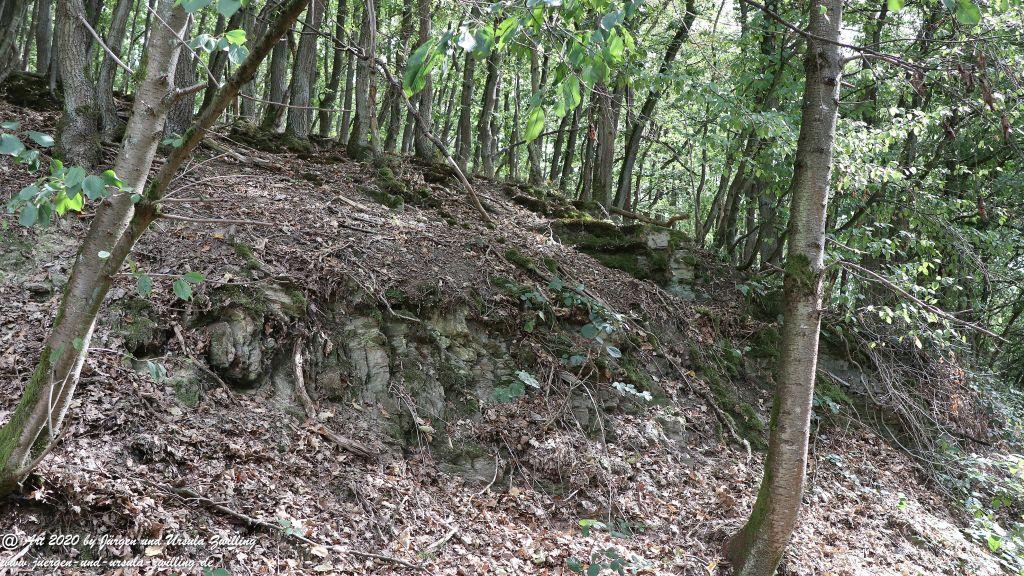 Philosophische Bildwanderung  Ranseler Höhenrausch Wisper Trail - Taunus