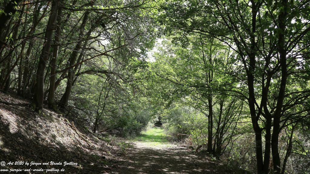 Philosophische Bildwanderung  Ranseler Höhenrausch Wisper Trail - Taunus