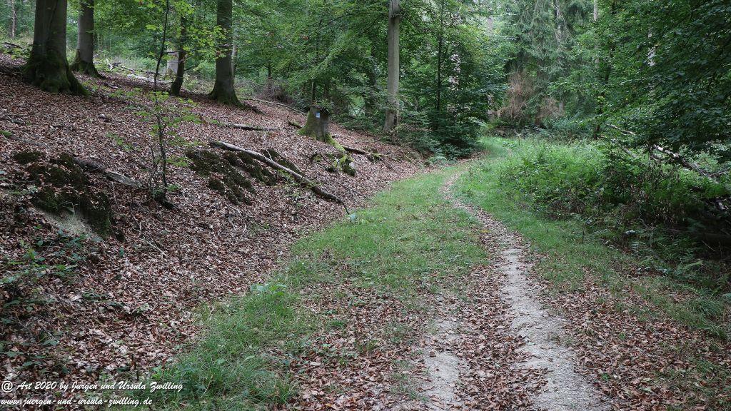 Philosophische Bildwanderung  Ranseler Höhenrausch Wisper Trail - Taunus
