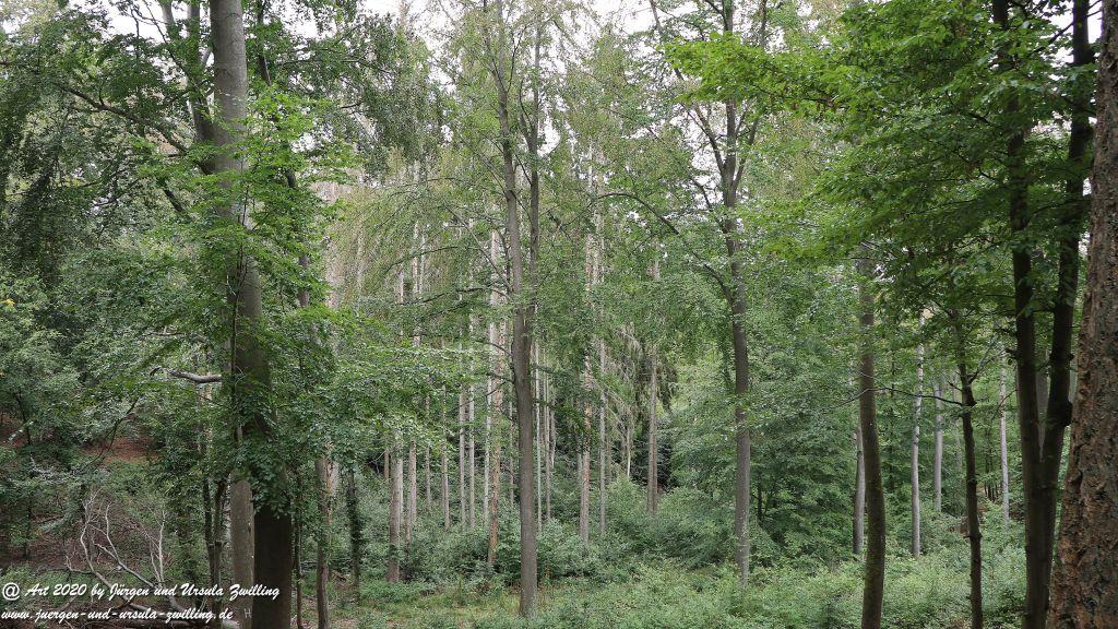 Philosophische Bildwanderung  Ranseler Höhenrausch Wisper Trail - Taunus