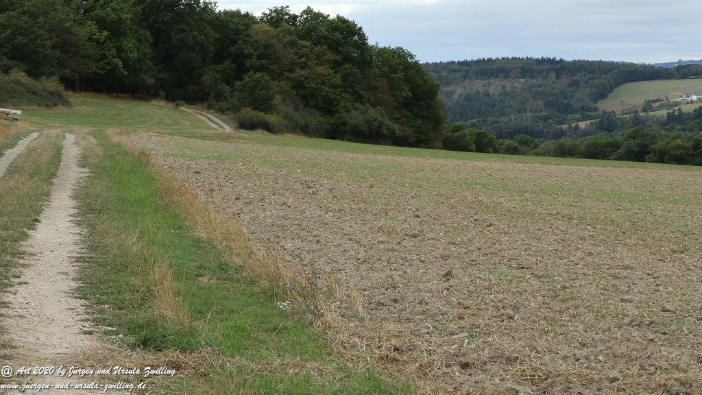 Philosophische Bildwanderung  Ranseler Höhenrausch Wisper Trail - Taunus