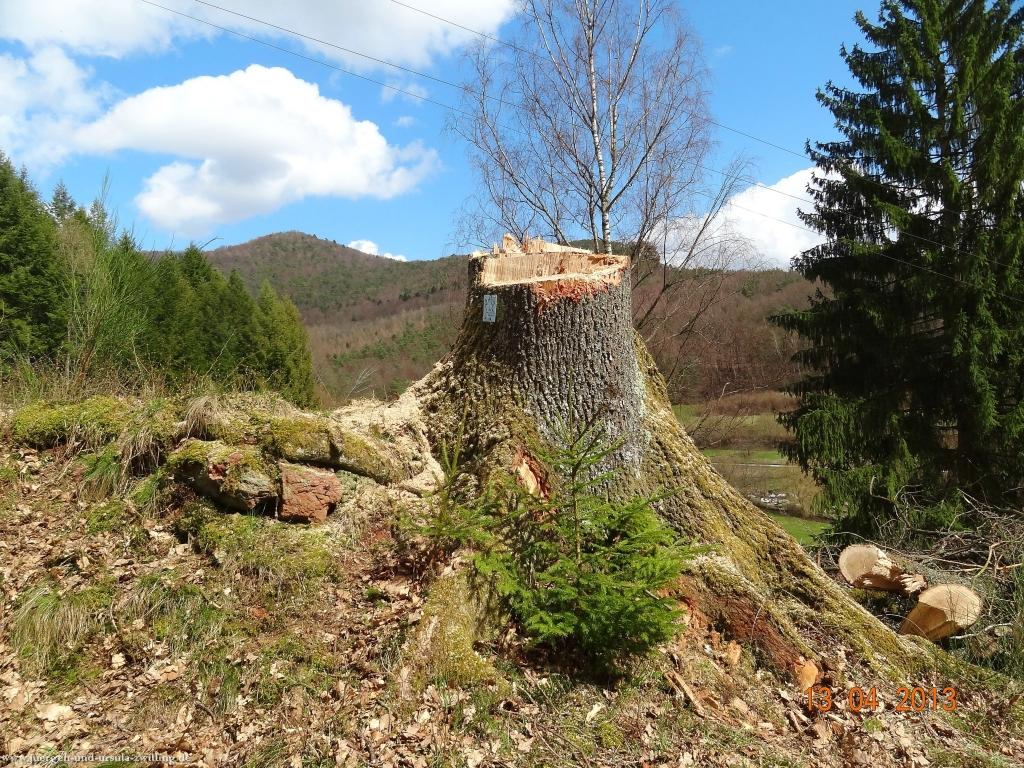 Wandertour Felsenland Sagenweg Etappe 3