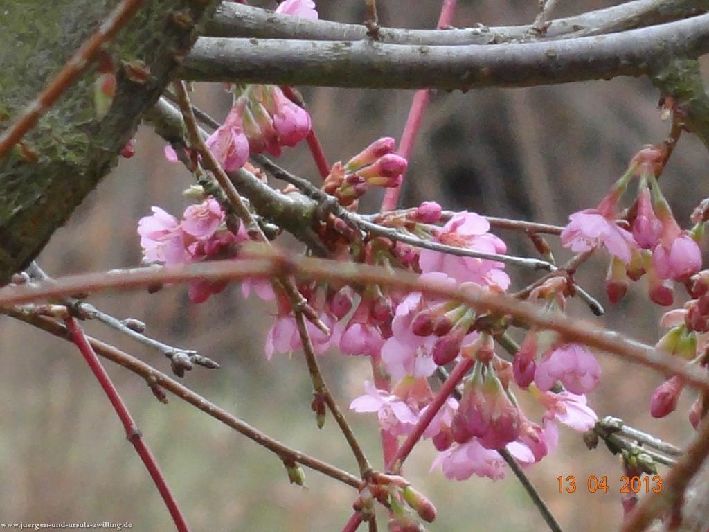 Wandertour Felsenland Sagenweg Etappe 3