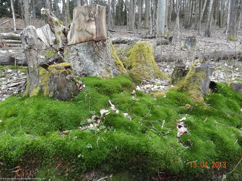 Wandertour Felsenland Sagenweg Etappe 3
