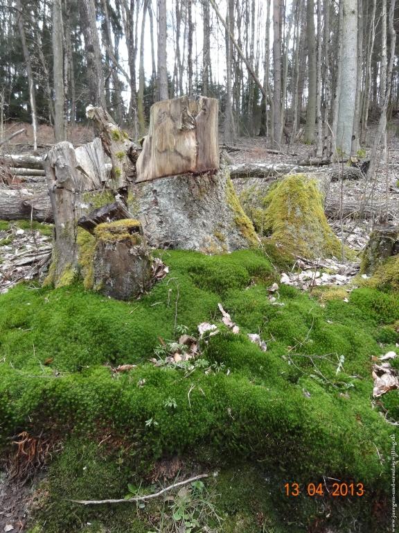 Wandertour Felsenland Sagenweg Etappe 3