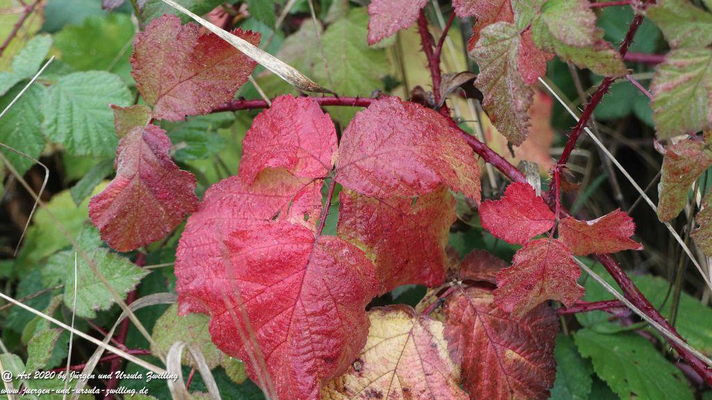 Herbst in Rheinhessen