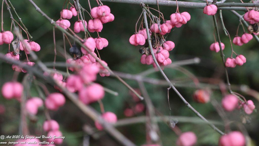 Herbst in Rheinhessen