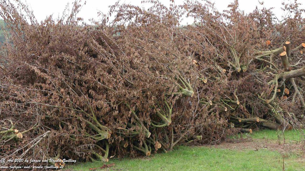 Herbst in Rheinhessen