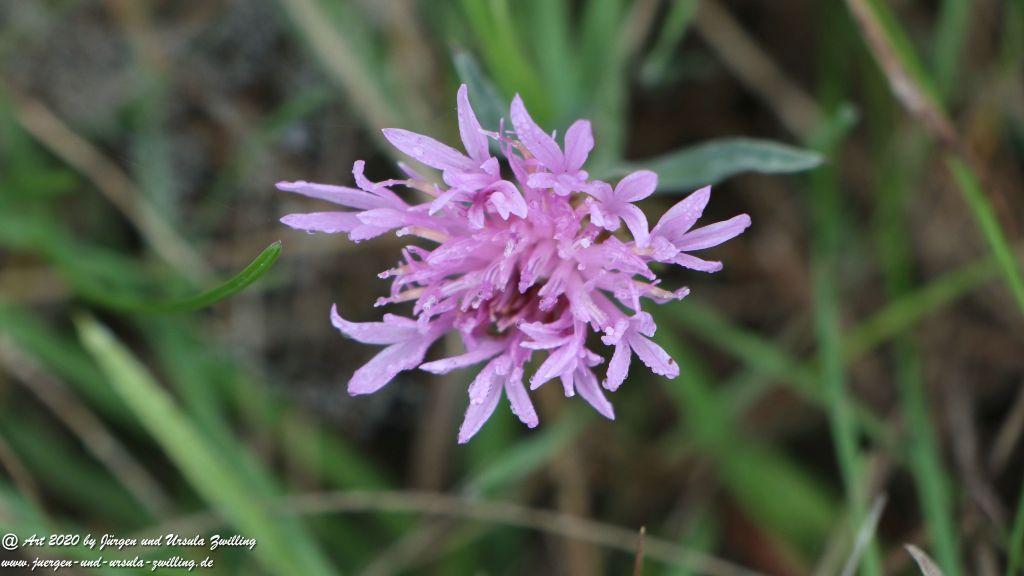 Herbst in Rheinhessen