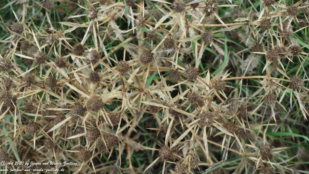 Herbst in Rheinhessen