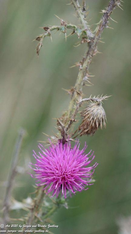 Herbst in Rheinhessen