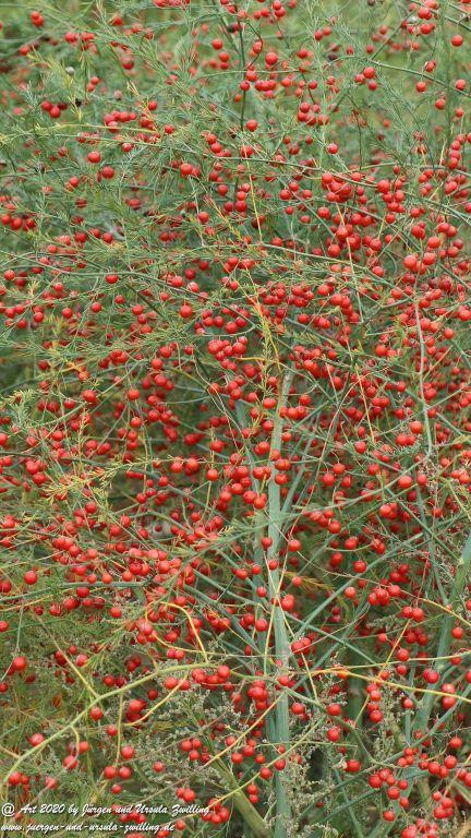 Herbst in Rheinhessen