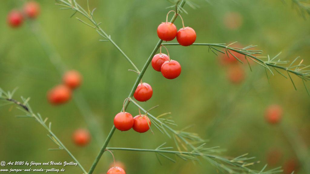 Herbst in Rheinhessen