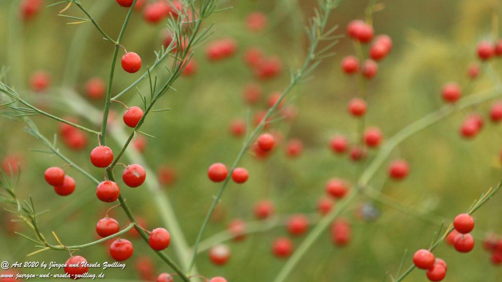 Herbst in Rheinhessen