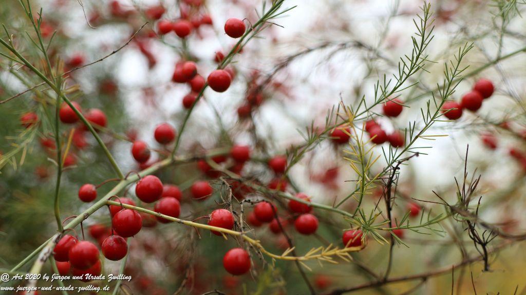 Herbst in Rheinhessen