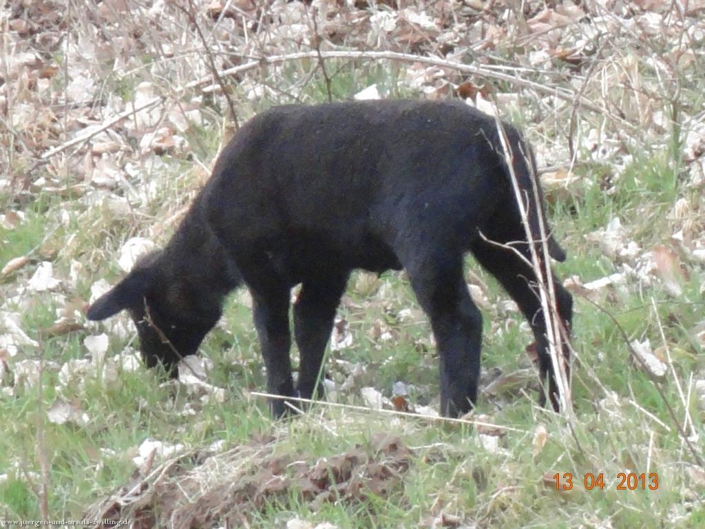 Wandertour Felsenland Sagenweg Etappe 3