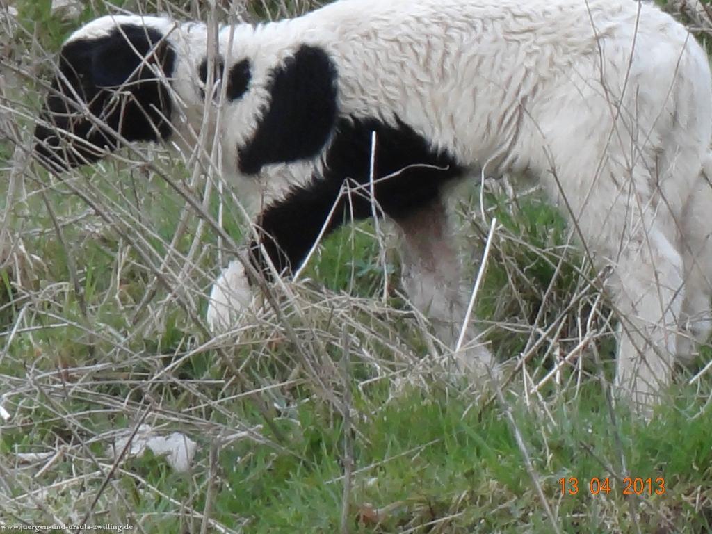 Wandertour Felsenland Sagenweg Etappe 3