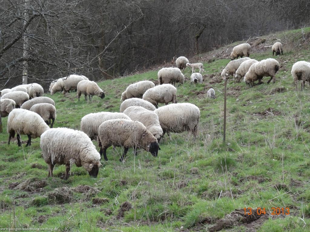 Wandertour Felsenland Sagenweg Etappe 3