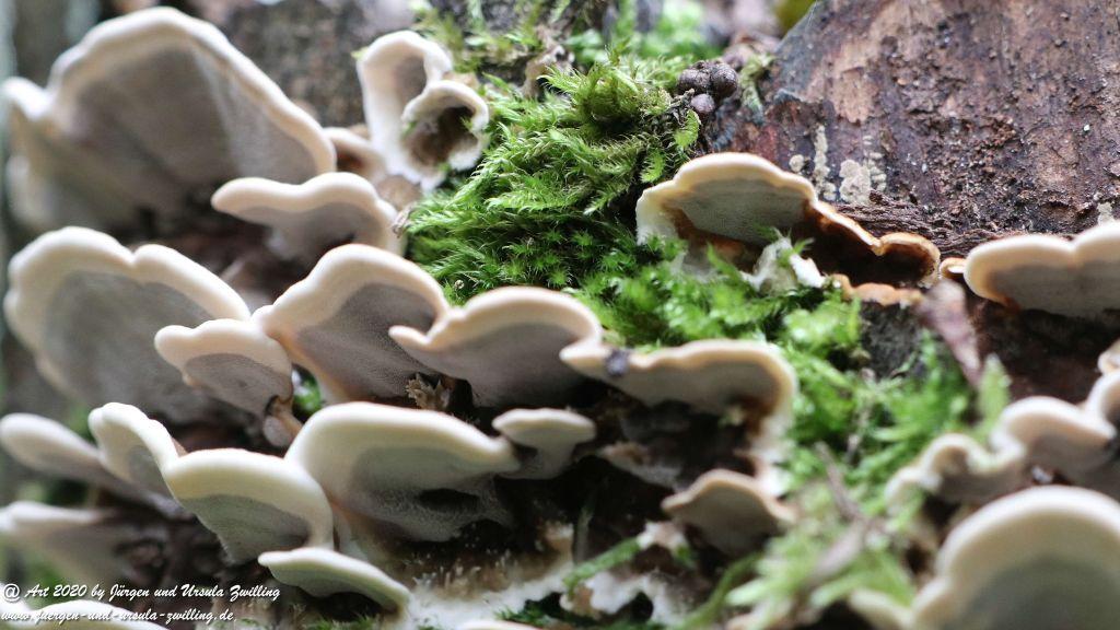 Herbst in Rheinhessen