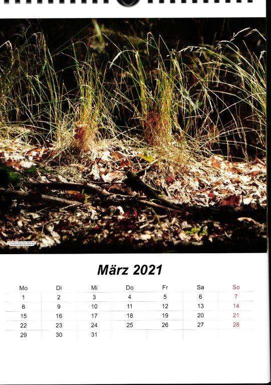Galerie Kalender 2021 Rhein - Wisper - Taunus
