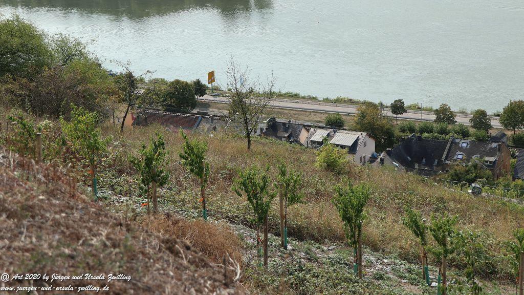 Philosophische Bildwanderung  In Vino Veritas Wisper Trail - Taunus