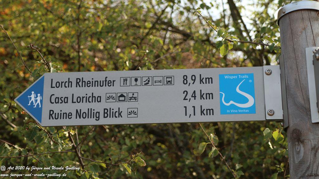 Philosophische Bildwanderung  In Vino Veritas Wisper Trail - Taunus