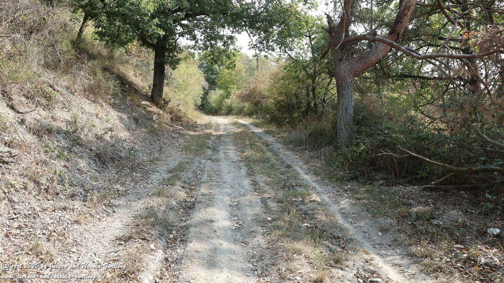 Philosophische Bildwanderung  In Vino Veritas Wisper Trail - Taunus