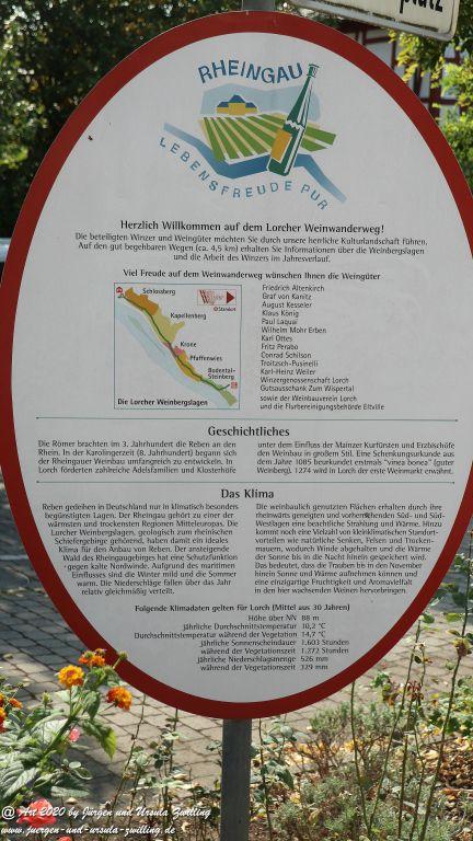 Philosophische Bildwanderung  In Vino Veritas Wisper Trail - Taunus