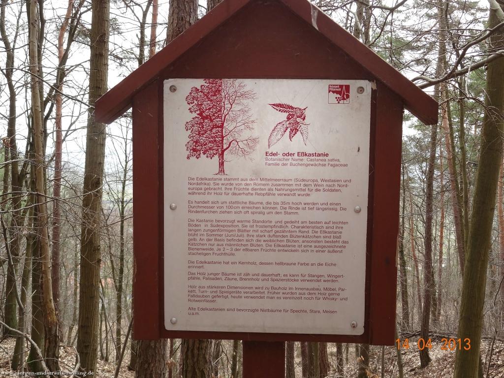 Wandertour Pfälzer Hüttentour