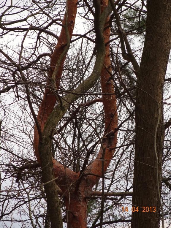 Wandertour Pfälzer Hüttentour