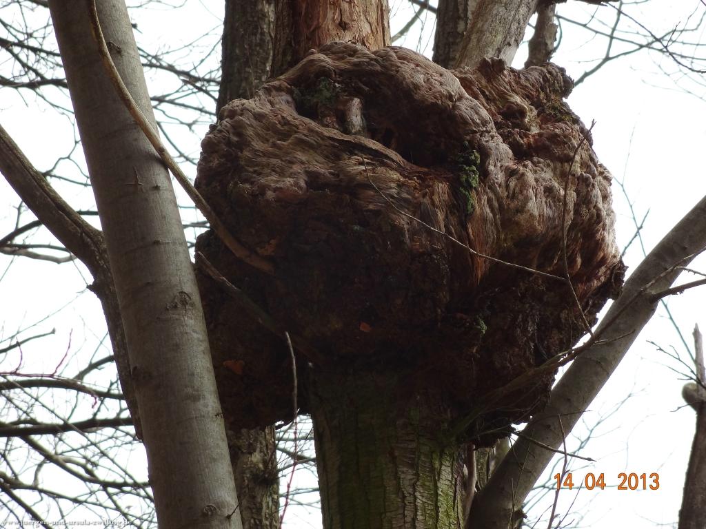Wandertour Pfälzer Hüttentour