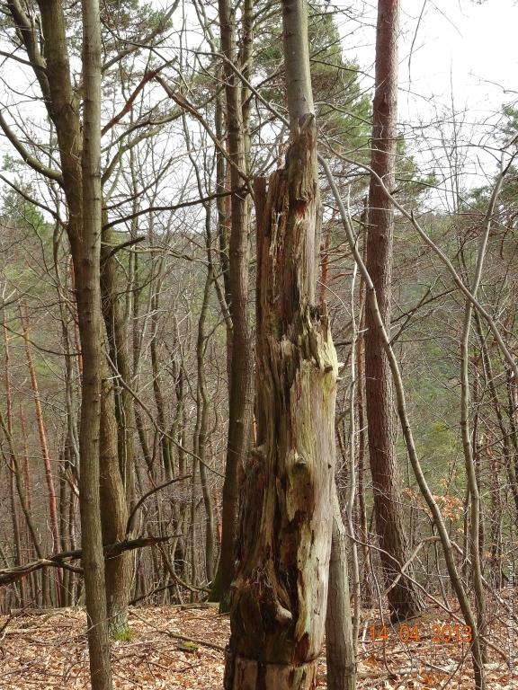 Wandertour Pfälzer Hüttentour