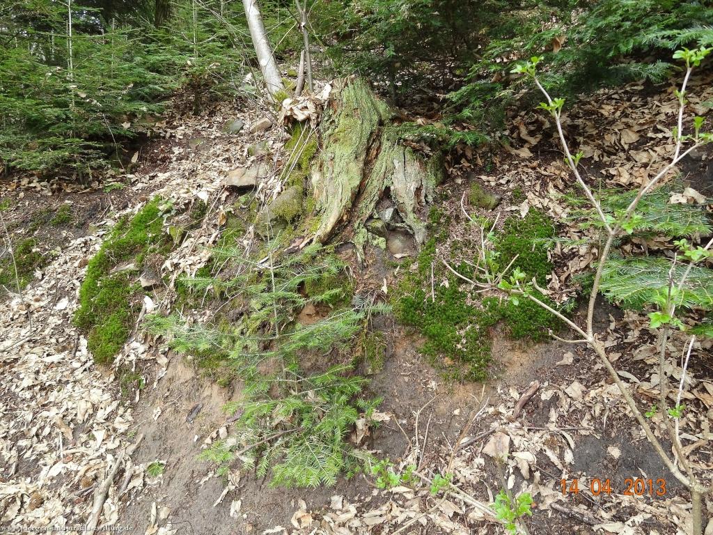 Wandertour Pfälzer Hüttentour