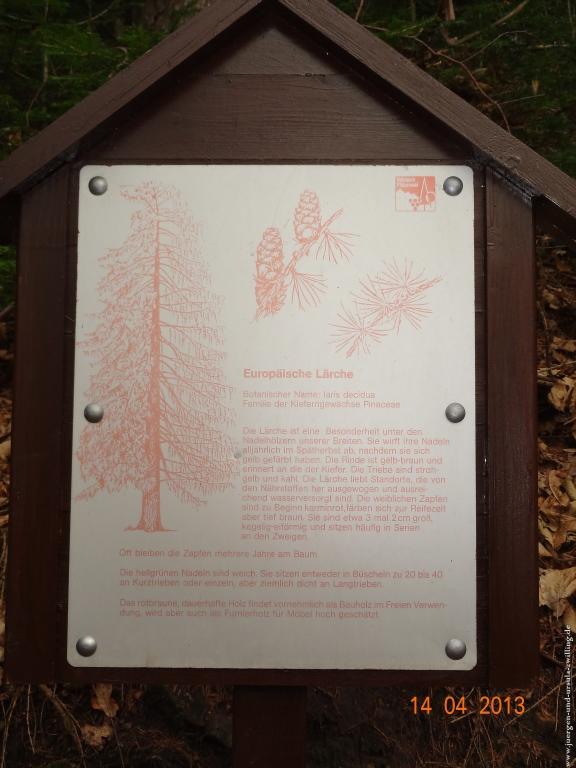 Wandertour Pfälzer Hüttentour