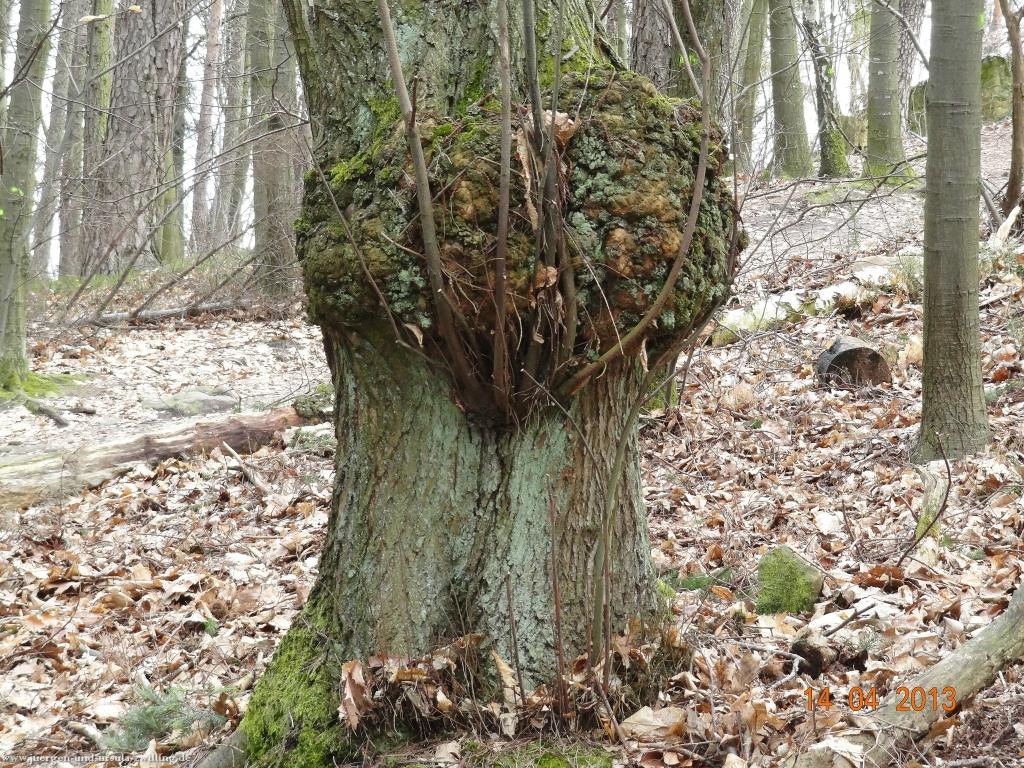 Wandertour Pfälzer Hüttentour