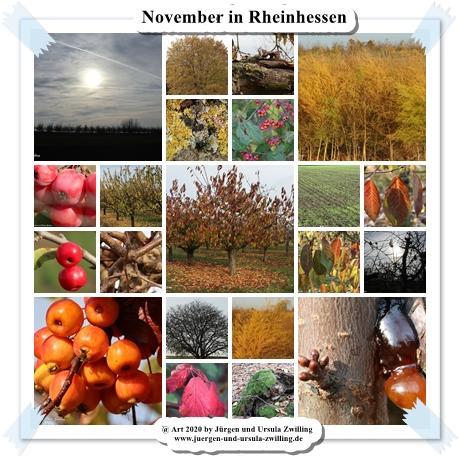 November in Rheinhessen