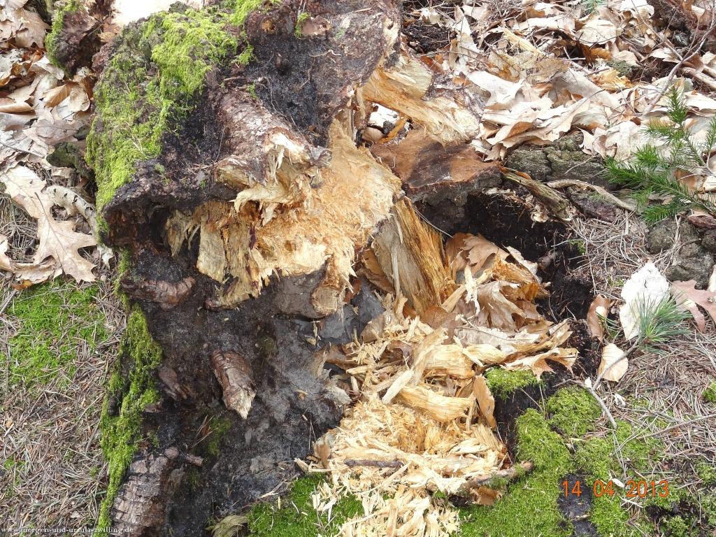 Wandertour Pfälzer Hüttentour